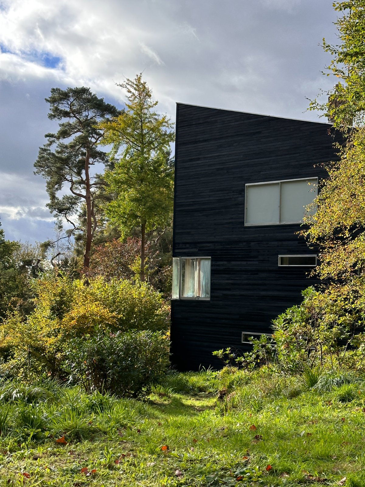 Modern home with large energy-efficient European-style windows
