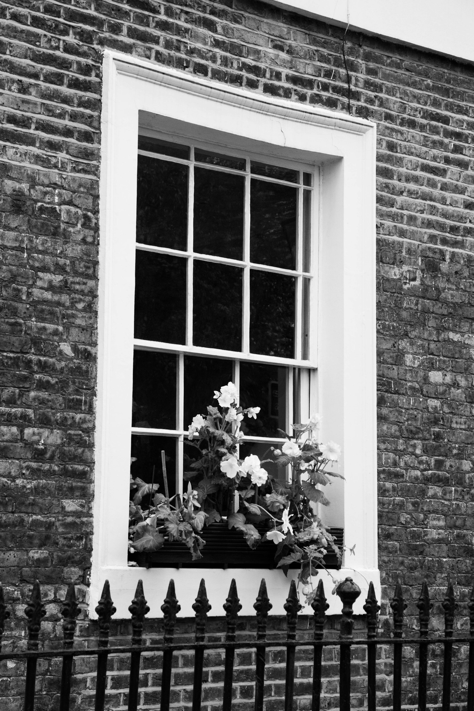 European windows and doors
