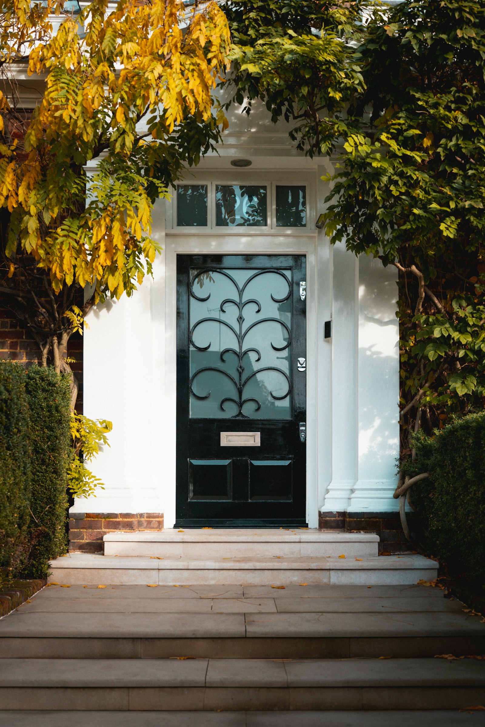 European windows and doors