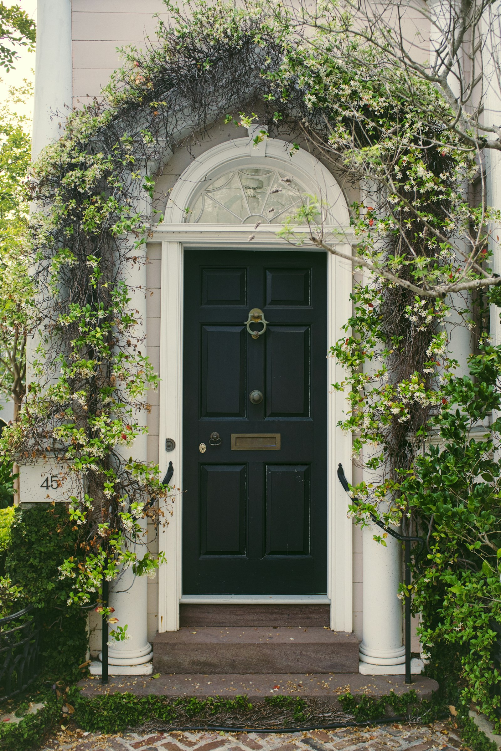 European windows and doors