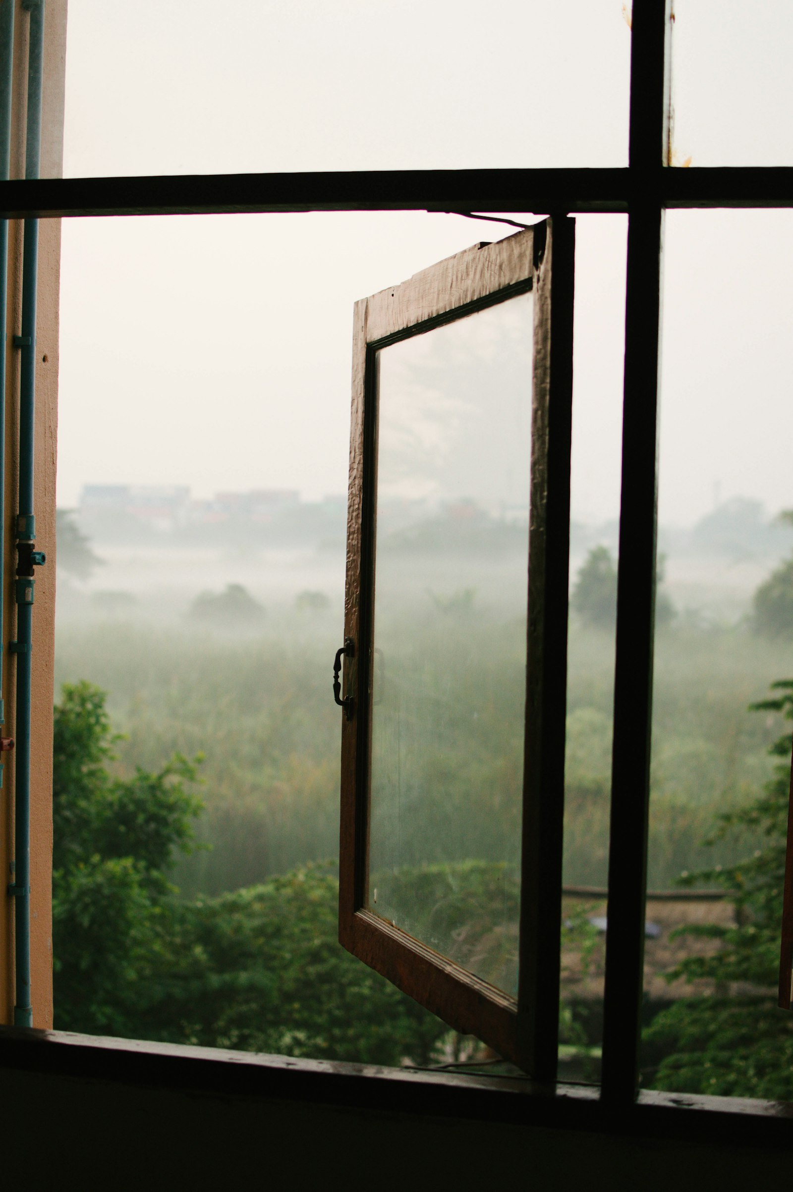 European windows and doors