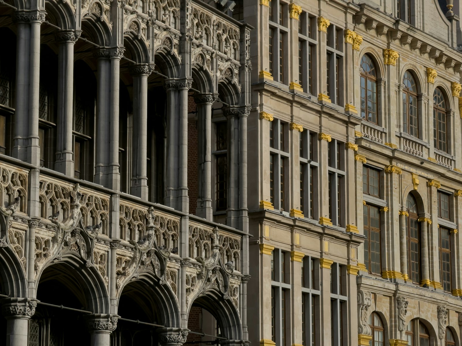 European windows and doors