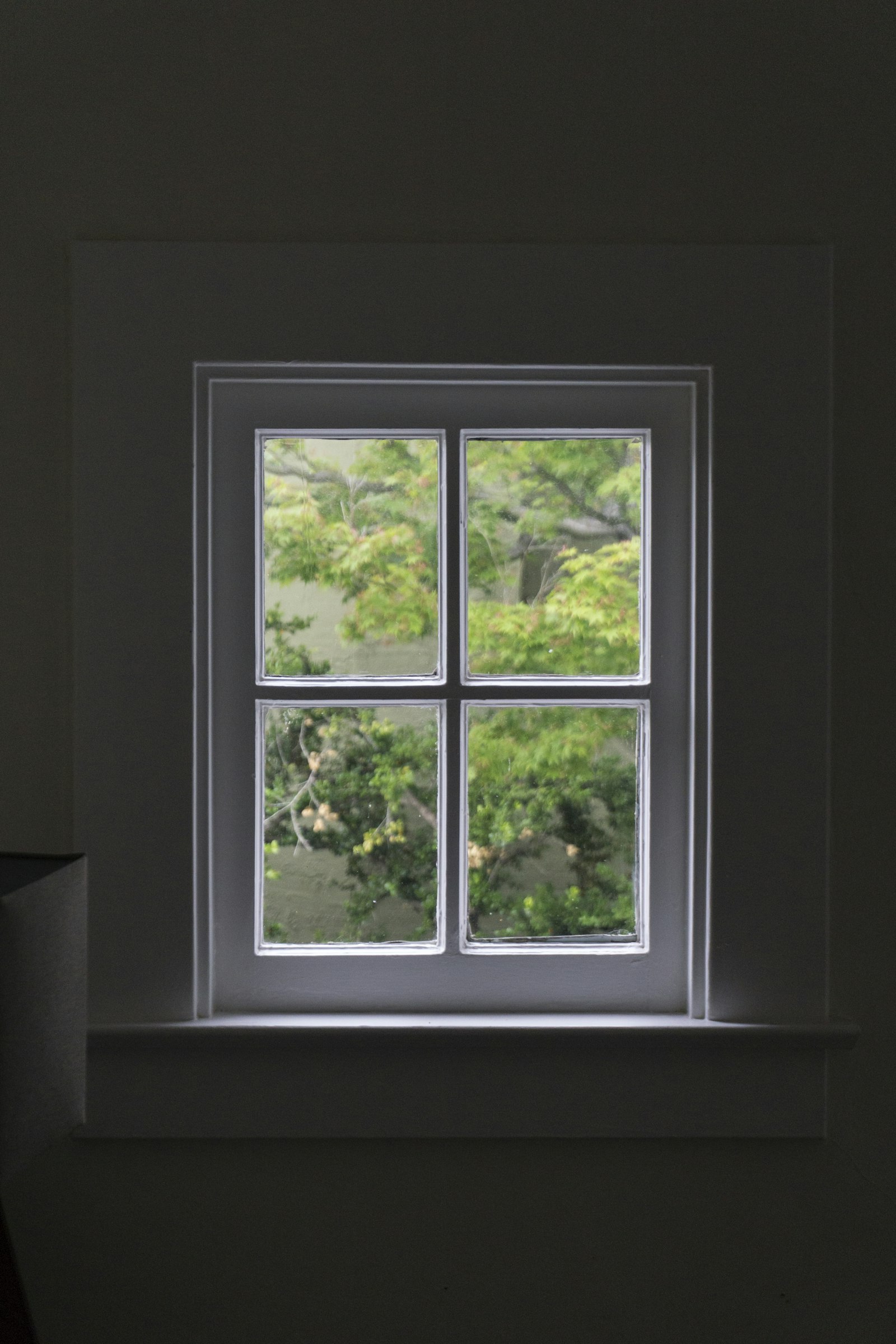 European windows and doors