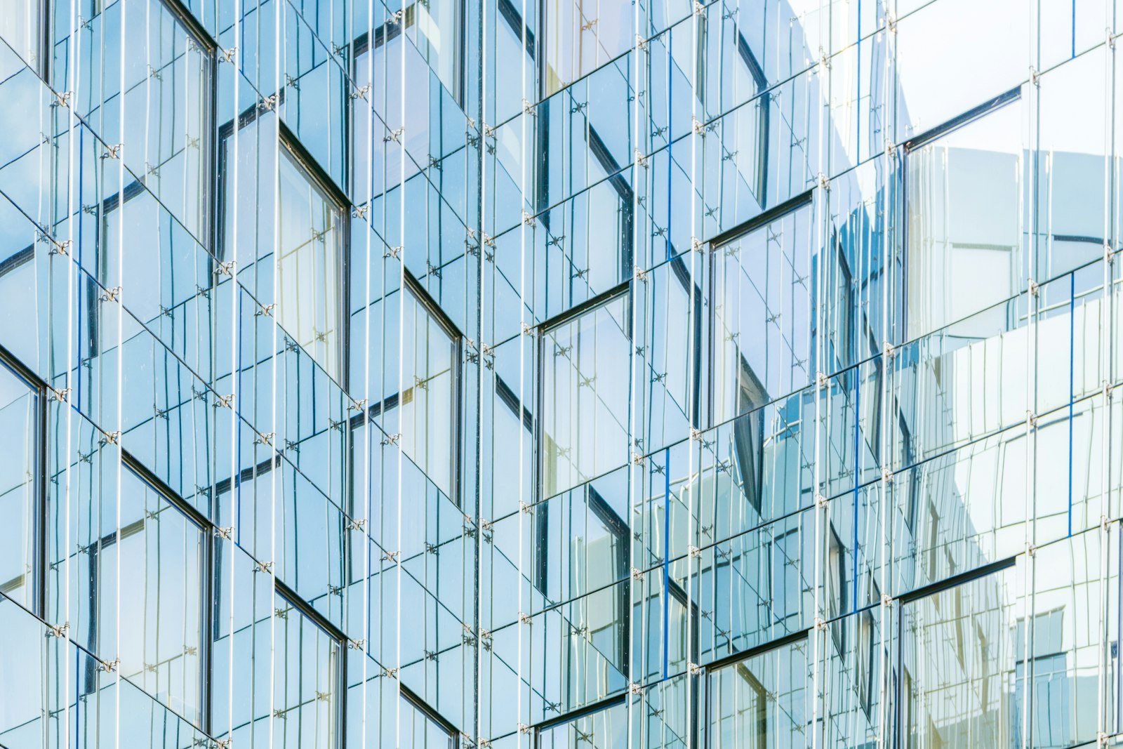 European windows and doors